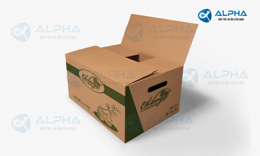 Mẫu thiết kế hộp carton 